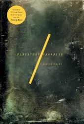 Purgatory/Paradise by Throwing Muses