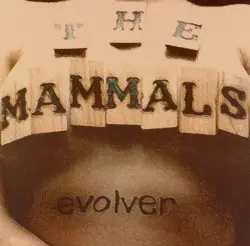 Evolver by The Mammals