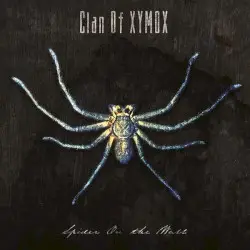 Spider on the Wall by Clan of Xymox