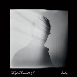 Shades by Doyle Bramhall II