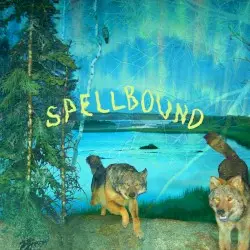 Spellbound by Boyscott