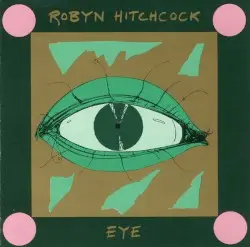 Eye by Robyn Hitchcock