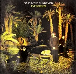 Evergreen by Echo & the Bunnymen