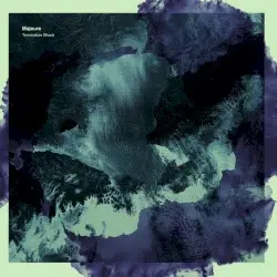 Termination Shock by Majeure
