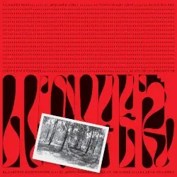 Lucifer Is a Flower by Black Devil Disco Club