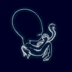 Ágætis byrjun by Sigur Rós