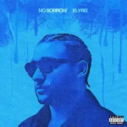 No Sorrow by Elyrix