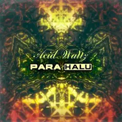 Acid Waltz by Para Halu
