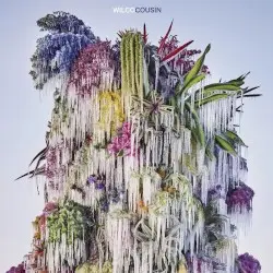 Cousin by Wilco