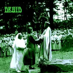 Druid by Druid