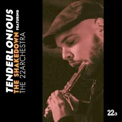 THE SHAKEDOWN featuring The 22archestra by Tenderlonious