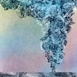 Carnation by Daughn Gibson
