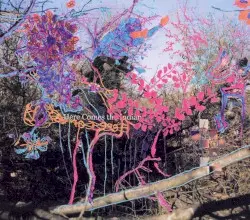 Here Comes the Indian by Animal Collective