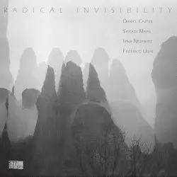 Radical Invisibility by Daniel Carter, Stelios Mihas, Irma Nejando, Federico Ughi