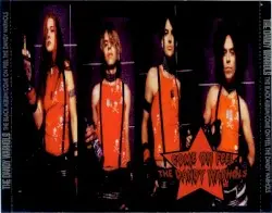 The Black Album / Come On Feel The Dandy Warhols by The Dandy Warhols