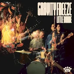Gravity Freeze by Little Barrie
