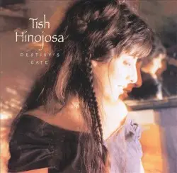Destiny's Gate by Tish Hinojosa