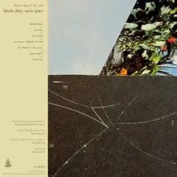 Blank Slate, Open Space by Alaskan Tapes & Blu Miles