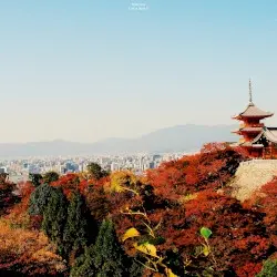 Lost in Japan II by Elijah Nang