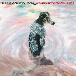 Coming Up to Consciousness by Pure Reason Revolution