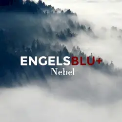 Nebel by Engelsblut