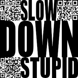 Slow Down Stupid by Bogdan Raczynski