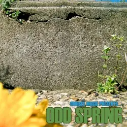 Odd Spring by Oddisee
