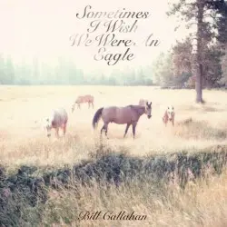 Sometimes I Wish We Were an Eagle by Bill Callahan