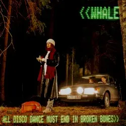All Disco Dance Must End in Broken Bones by Whale