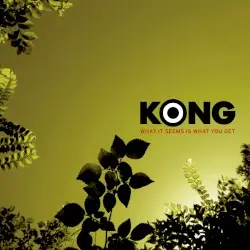 What It Seems Is What You Get by Kong