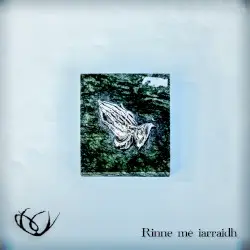Rinne mé iarraidh by Fós