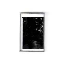 Vitrines by Moss Harvest