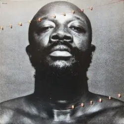 Hotbed by Isaac Hayes
