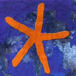13th Star by Fish