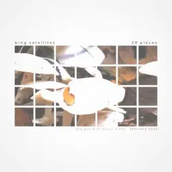 28 Pieces by Bing Satellites