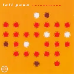 Tridecoder by Lali Puna