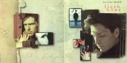 Flesh and Bone by Richard Marx