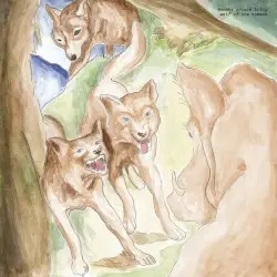 Wolf of the Cosmos by Bonnie Prince Billy