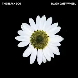 Black Daisy Wheel by The Black Dog