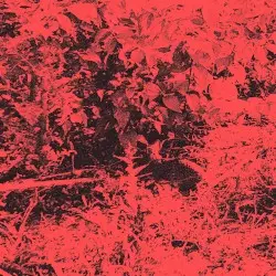 Sankaku // Trhä by Sankaku / Trhä