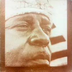 Nidhamu by Sun Ra and His Astro Intergalactic Infinity Arkestra