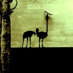 Bunk Alchemy by Arms