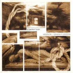 A Perfect Pain by Merzbow / Genesis P-Orridge