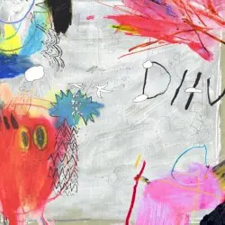 Is the Is Are by DIIV