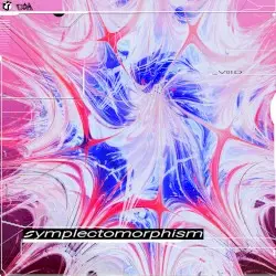 Symplectomorphism by V0iD