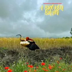 A Broken Brain by ɢᴇɴᴇʀᴀᴄᴛɪᴏɴ x