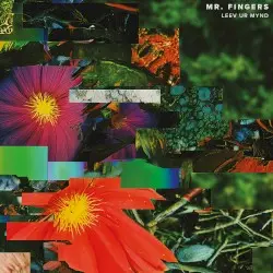 Leev Ur Mynd by Mr. Fingers