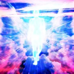 EVERYTHING NEW by COMPUTER WIND