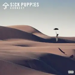 Connect by Sick Puppies