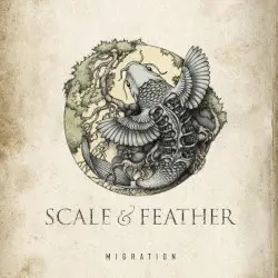 Migration by Scale & Feather
